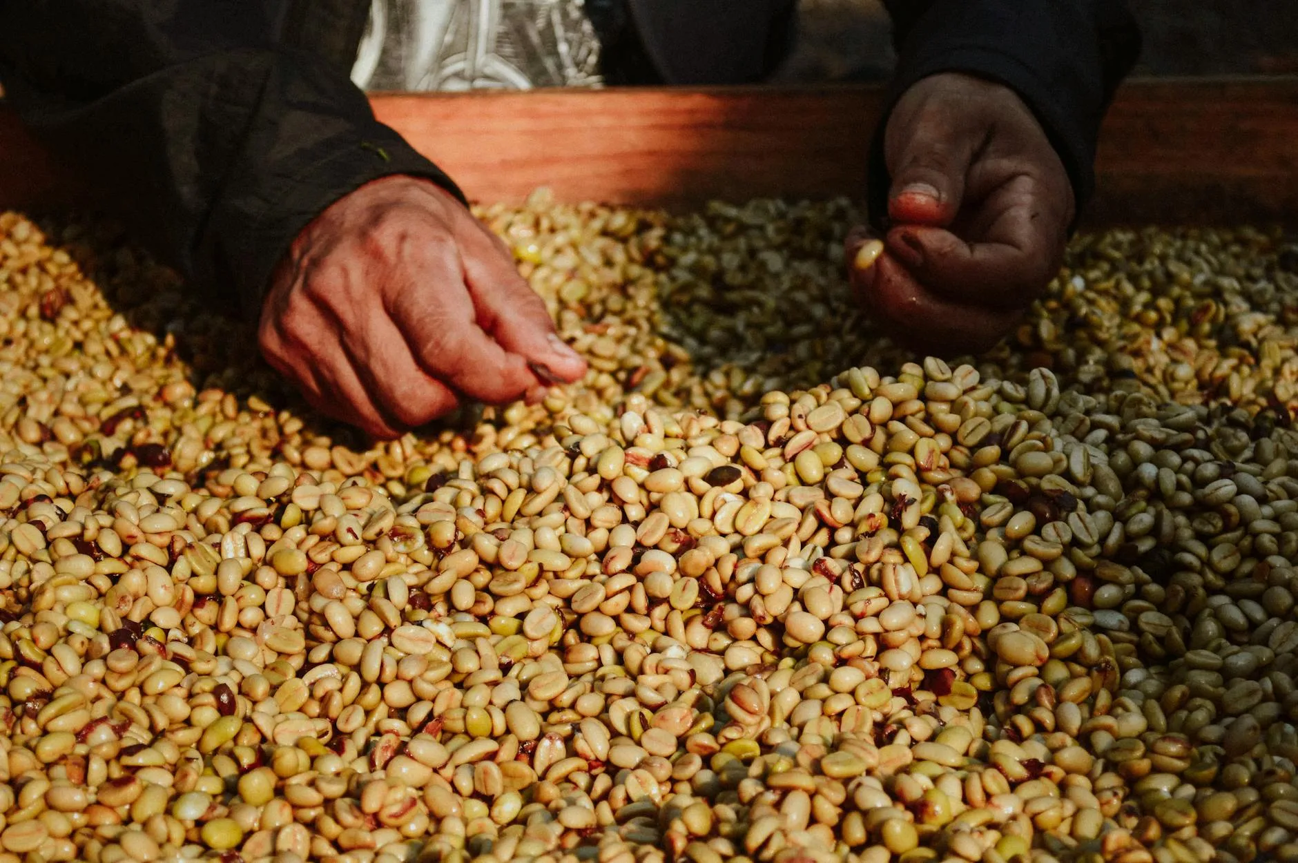 Les coopératives caféières rwandaises