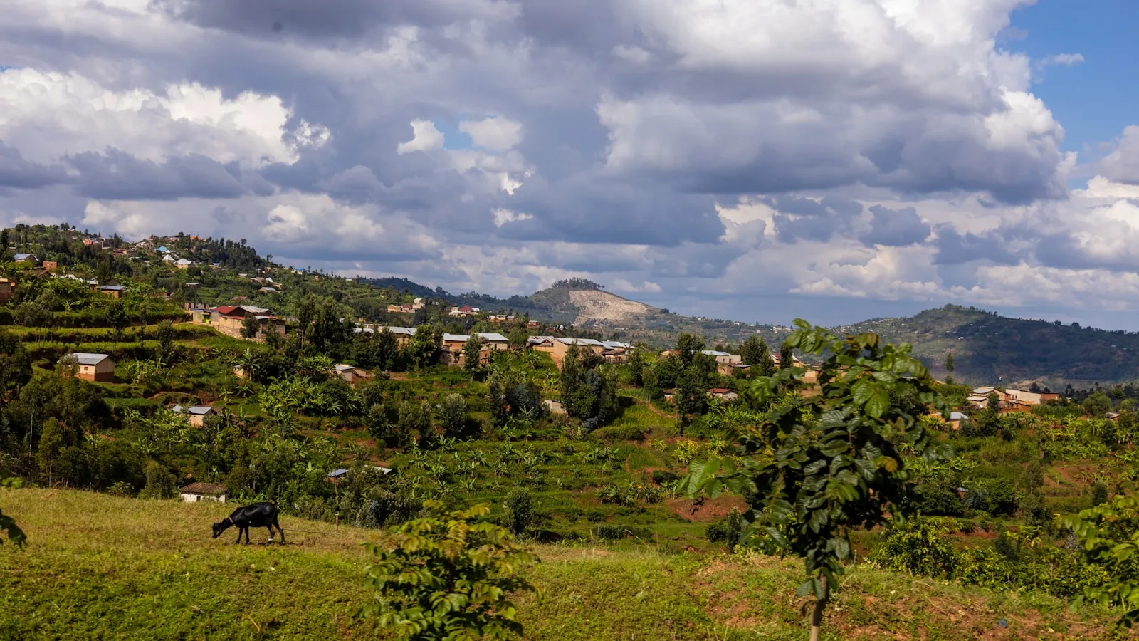Terroir et variétés