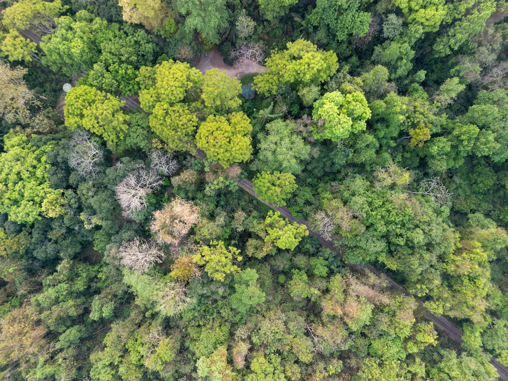 Comprendre la géographie des hébergements à Nyungwe