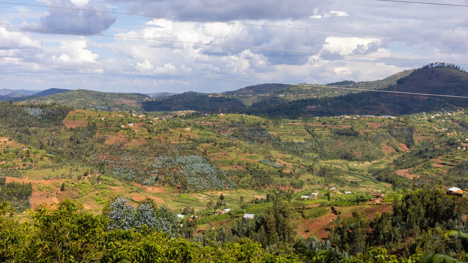 Les collines en terrasses : signature du Rwanda