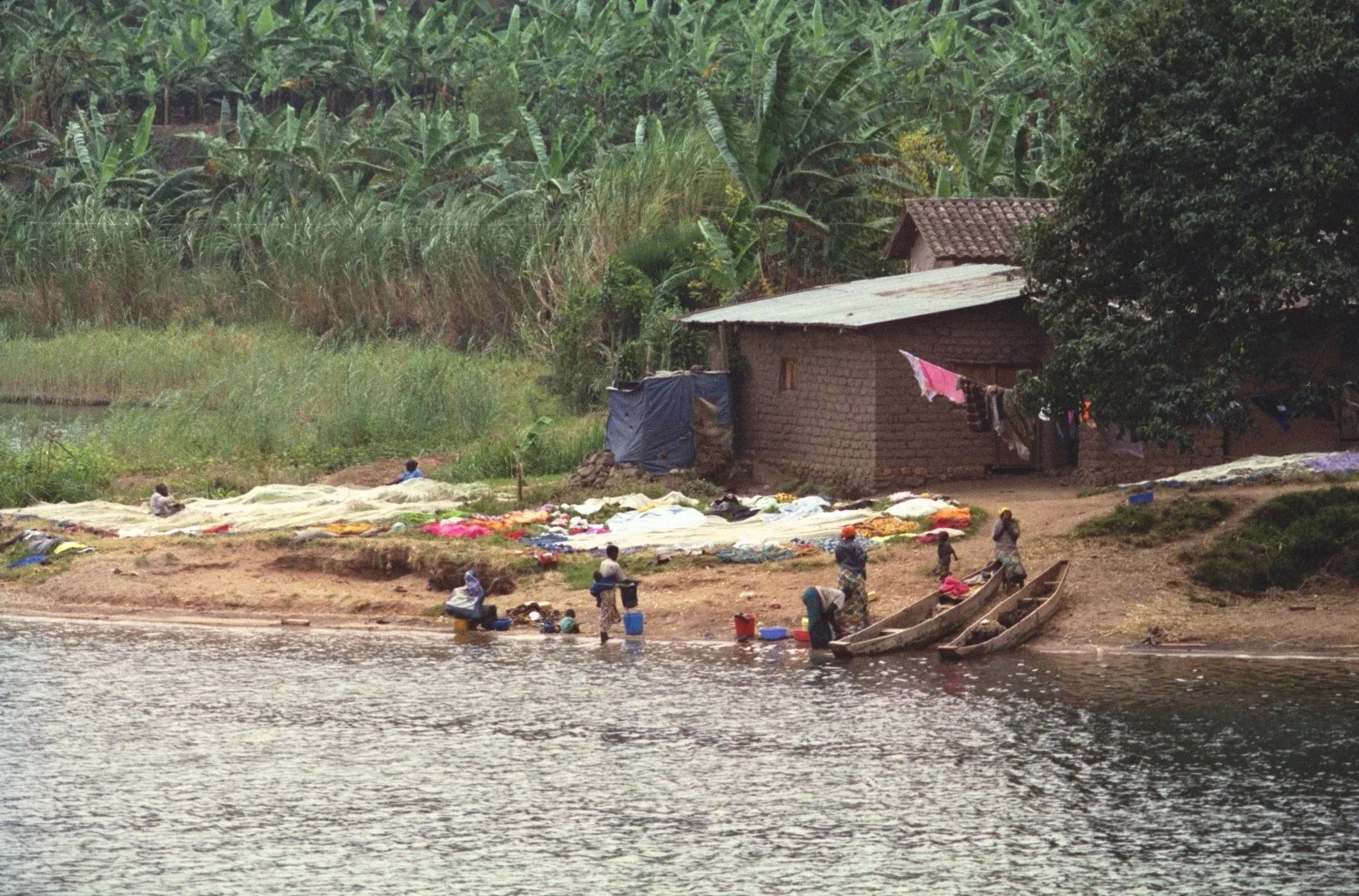 Jour 4 : Musanze → lac Kivu (60 km, 1 h 30)