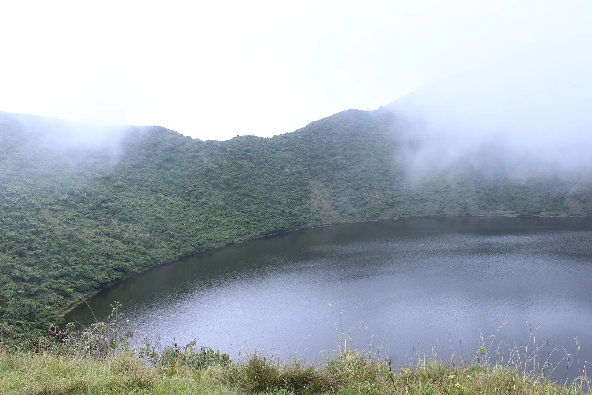 Tombe de Dian Fossey, Bisoke ou gorilles : que choisir ?