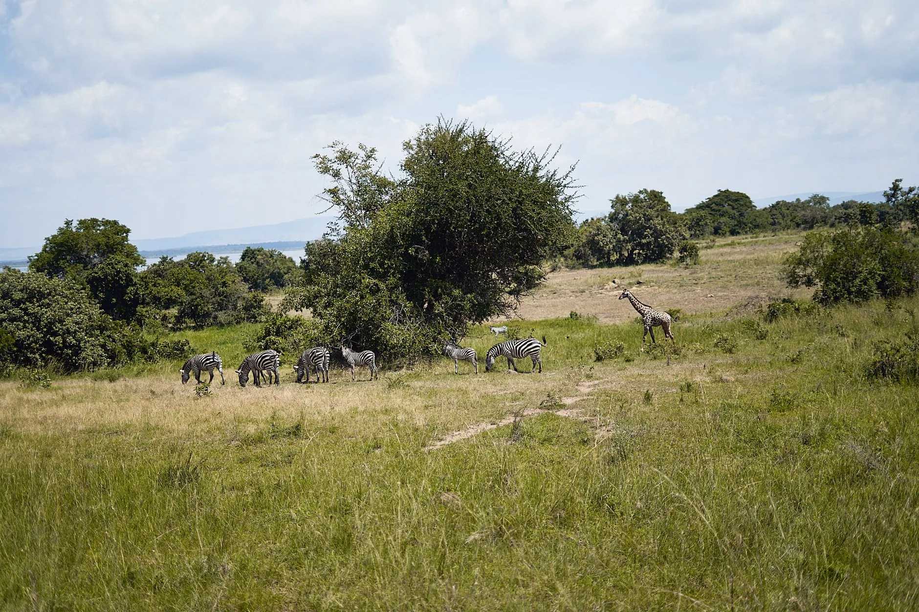 Le Parc National de l'Akagera en bref