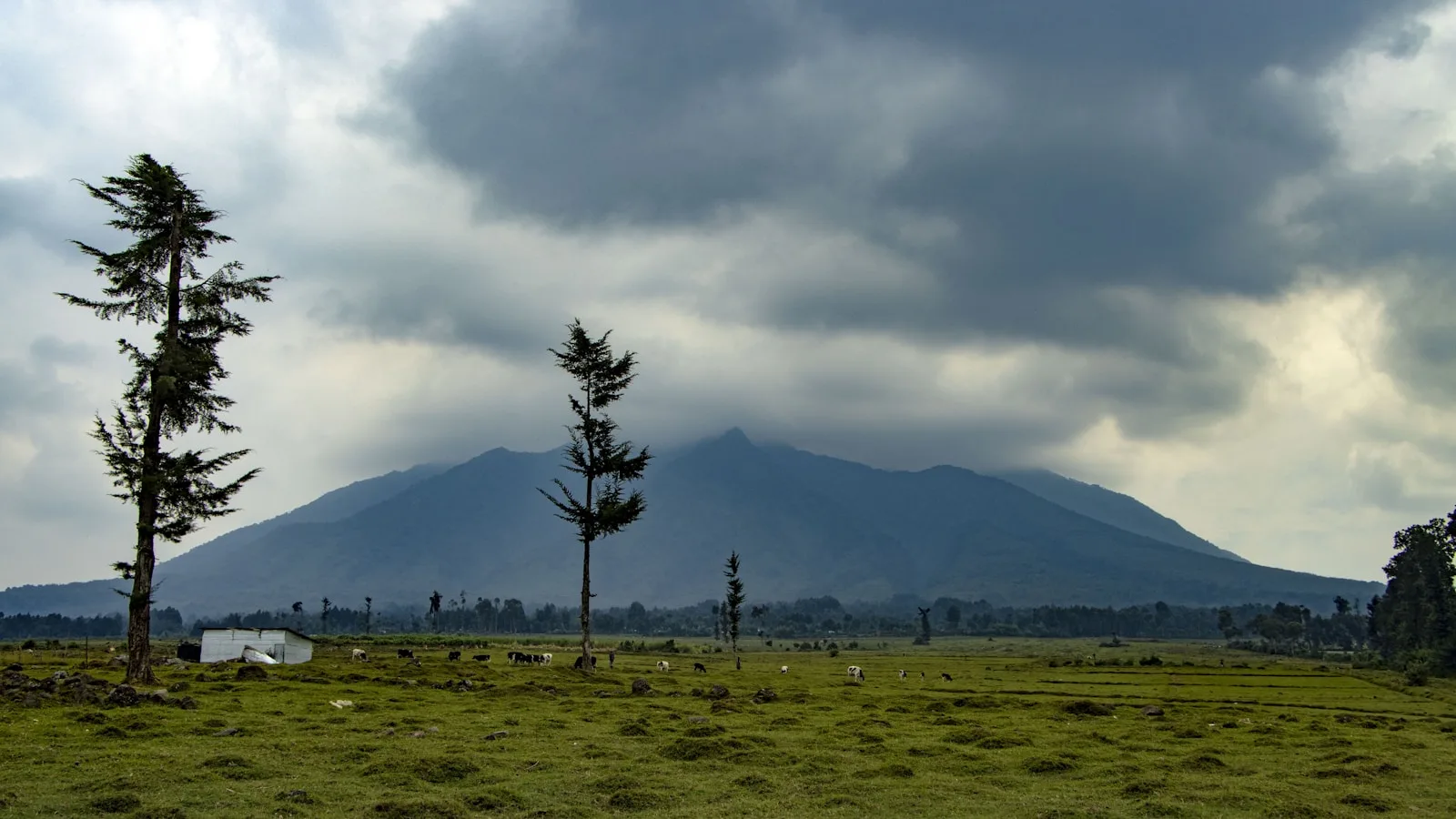 Les volcans des Virunga : randonnées en altitude